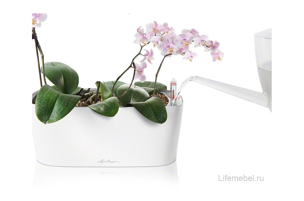 Кашпо Lechuza 15460 DELTA 10 белый блестящий