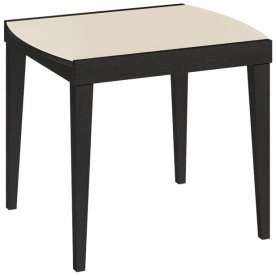 Стол Танго Т1 матовое стекло С-361