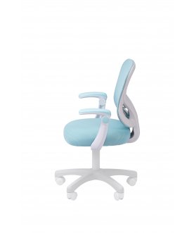 Компьютерное кресло Chairman CH106