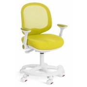 салатовый / белый