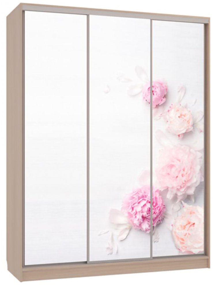 Шкаф-купе Бассо 7-600 17 дуб млечный