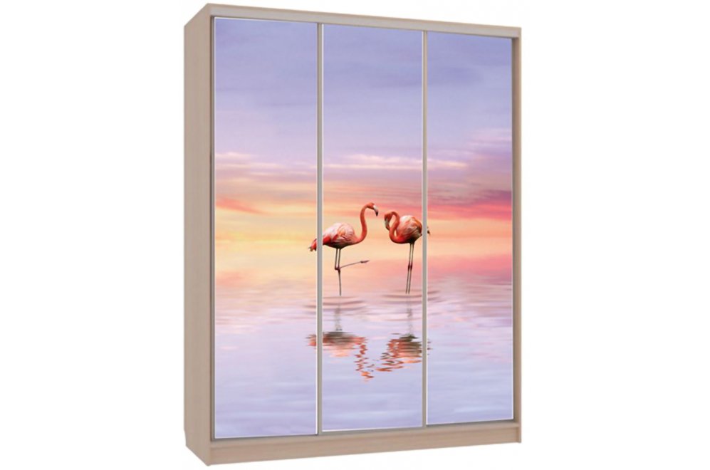 Шкаф-купе Бассо 7-600 19 дуб млечный