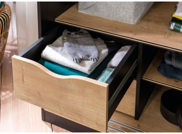 Шкаф-купе детский Black