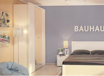 Паспарту Bauhaus 51