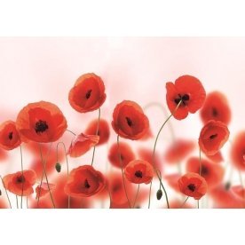 Фартук для кухни Маки