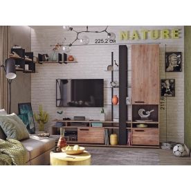 Модульная гостиная Nature комплектация 2