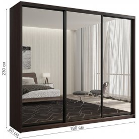 Шкаф-купе Кааппи 1