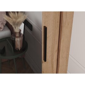 Шкаф-купе Дрим-1 1,5 м