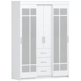 Шкаф-купе Ари-6