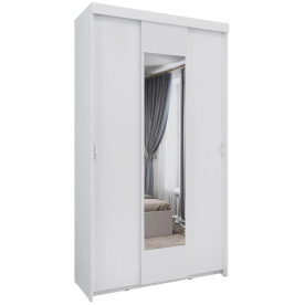 Шкаф-купе Ари-9