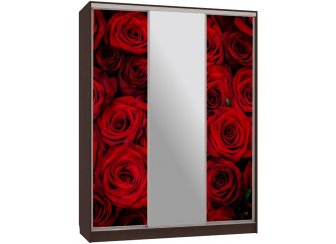 Шкаф-купе Бассо 10-600 89