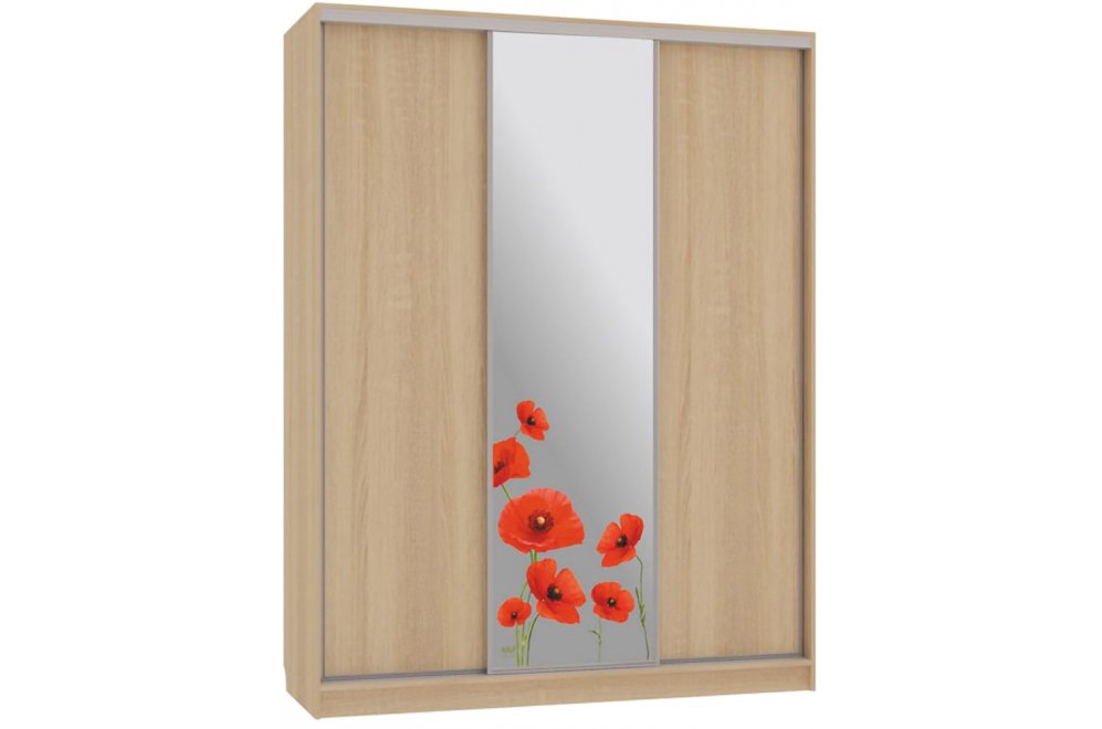 Шкаф-купе Бассо 1-600 маки дуб сонома