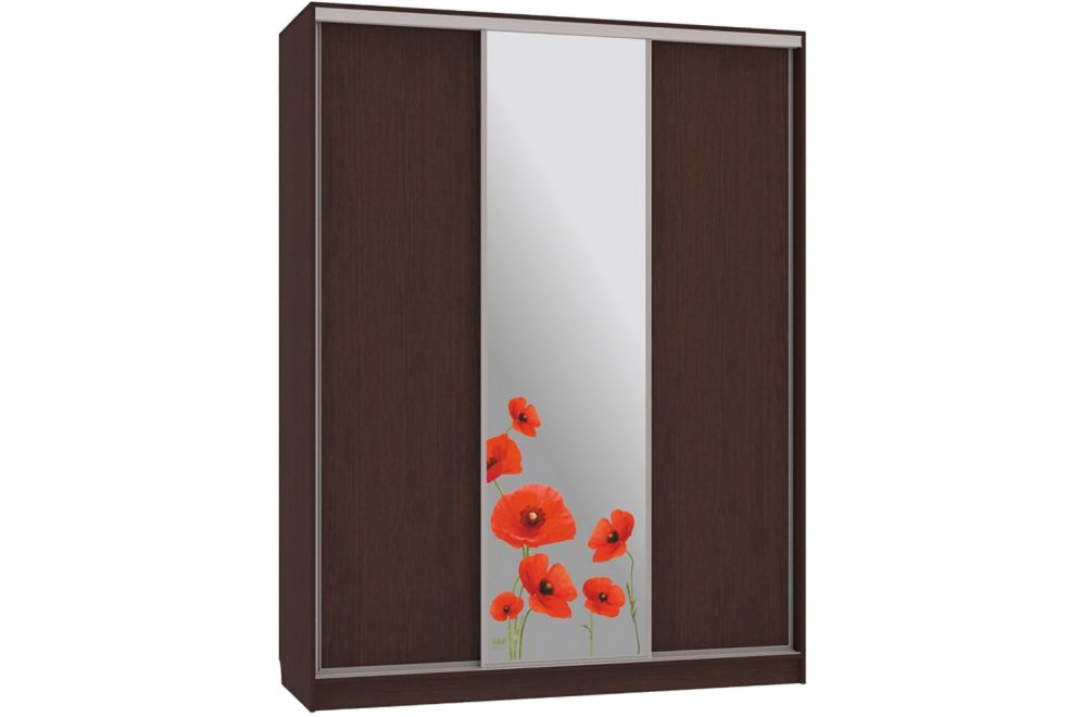 Шкаф-купе Бассо 1-600 маки венге