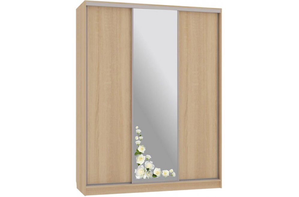 Шкаф-купе Бассо 1-600 розы дуб сонома