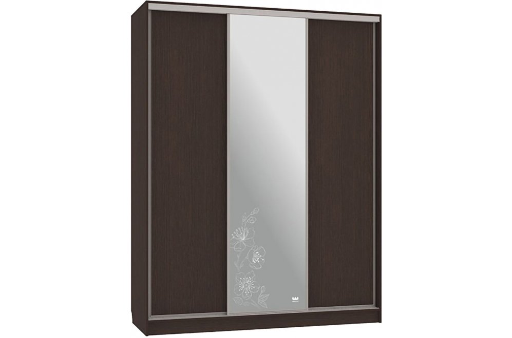 Шкаф-купе Бассо 1-600 токио венге