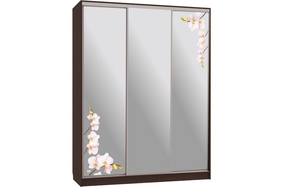 Шкаф-купе Бассо 4-600 орхидеи венге