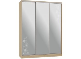 Шкаф-купе Бассо 4-600