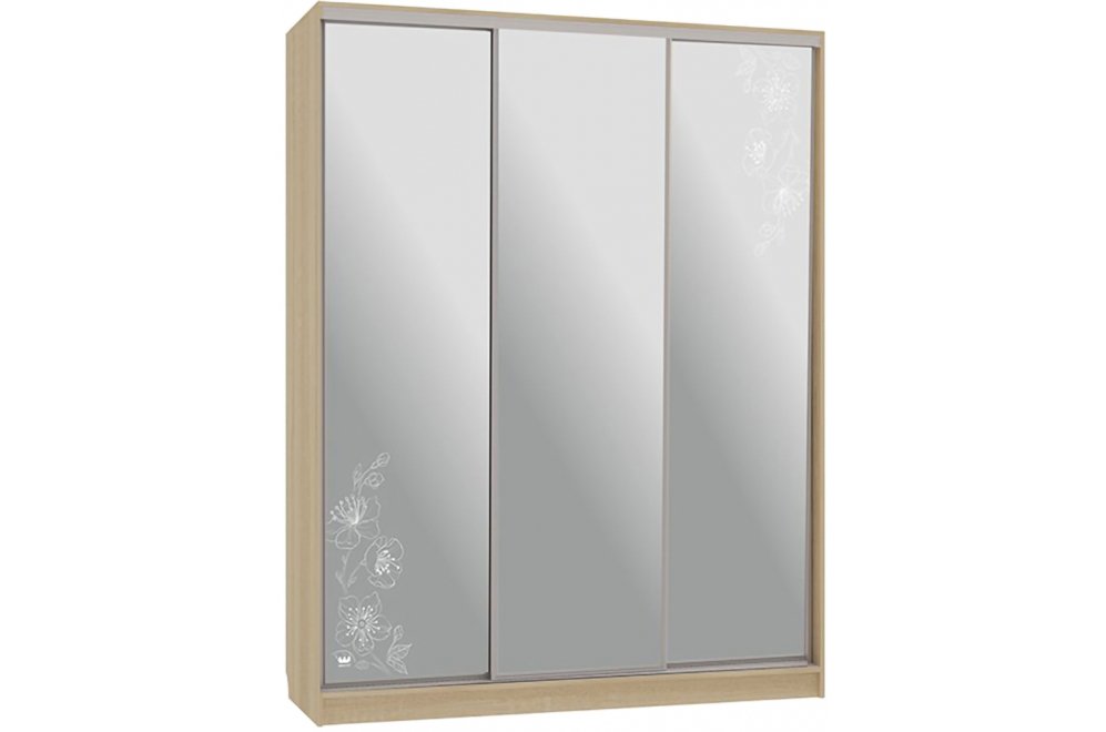 Шкаф-купе Бассо 4-600 токио дуб сонома