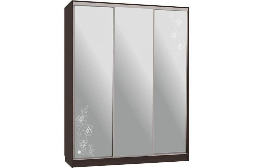 Шкаф-купе Бассо 4-600 токио венге