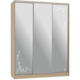 Шкаф-купе Бассо 4-600