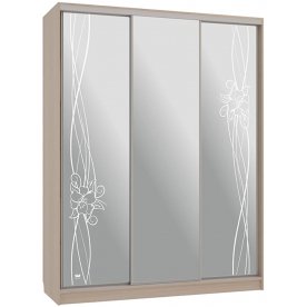 Шкаф-купе Бассо 4-600