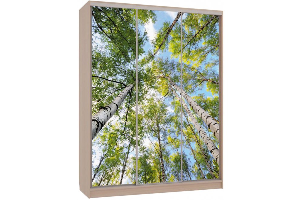 Шкаф-купе Бассо 7-600 57 дуб млечный