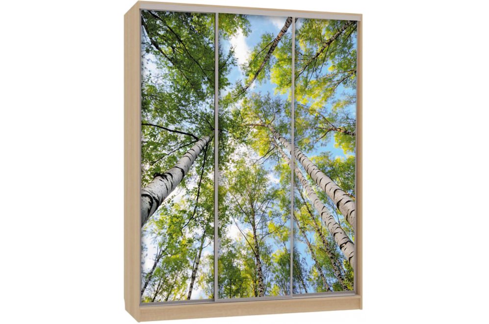 Шкаф-купе Бассо 7-600 57 дуб сонома