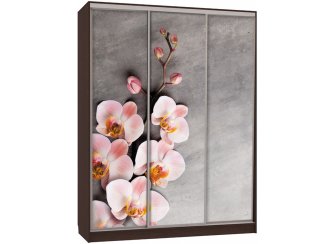 Шкаф-купе Бассо 7-600 78