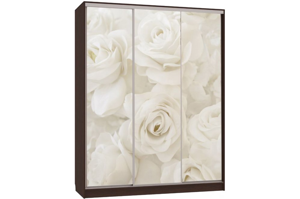 Шкаф-купе Бассо 7-600 розы венге