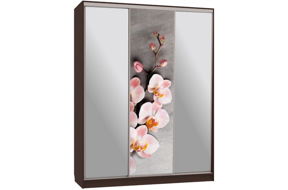 Шкаф-купе Бассо 9-600 78 венге