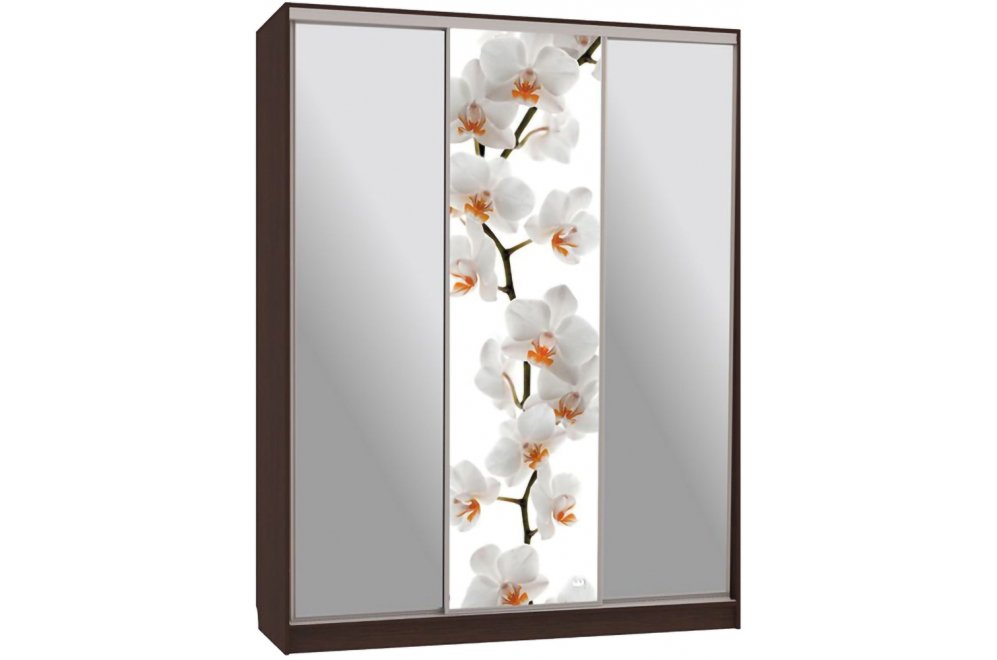 Шкаф-купе Бассо 9-600 83 венге