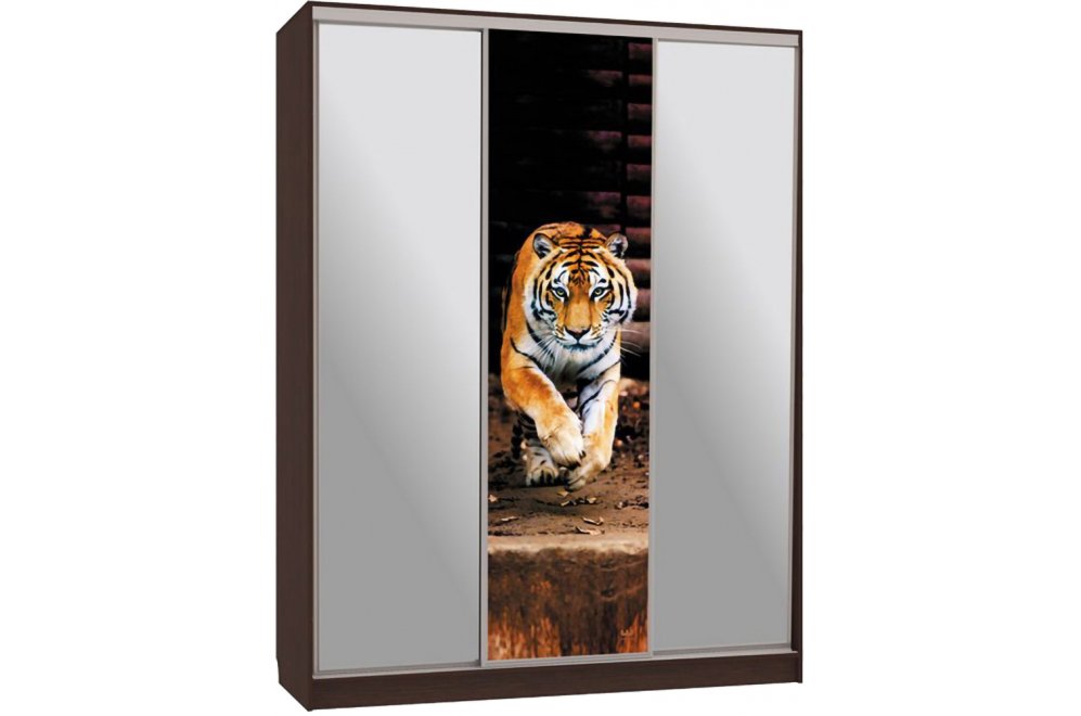 Шкаф-купе Бассо 9-600 87 венге