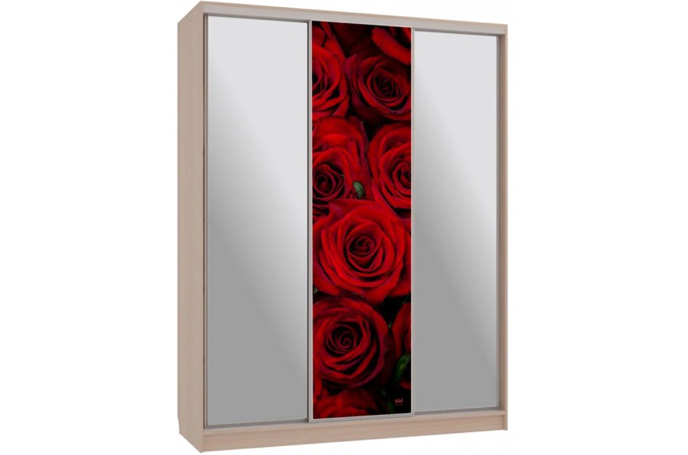 Шкаф-купе Бассо 9-600 89 дуб млечный