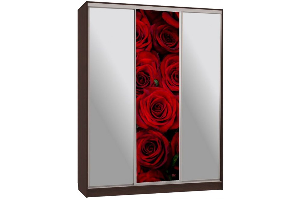 Шкаф-купе Бассо 9-600 89 венге