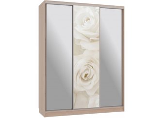 Шкаф-купе Бассо 9-600