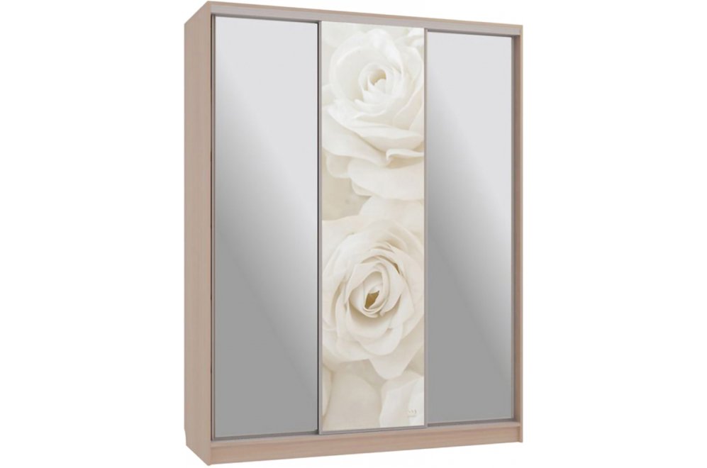 Шкаф-купе Бассо 9-600 розы дуб млечный