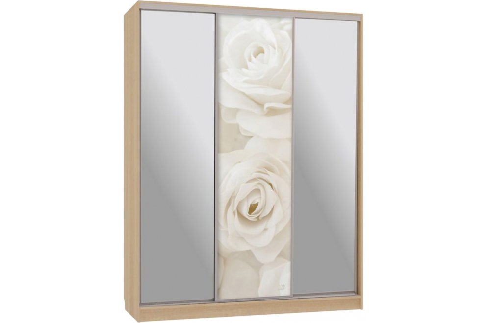 Шкаф-купе Бассо 9-600 розы дуб сонома