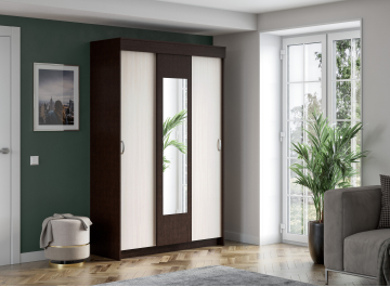 Шкаф-купе Бассо