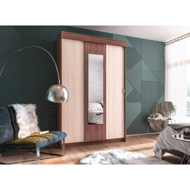 Шкаф-купе Бассо