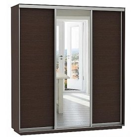 Шкаф-купе D3-02 220х60