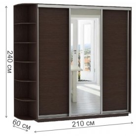 Шкаф-купе D3-06 240х60