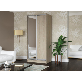 Шкаф-купе Дуэт-2