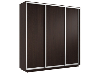 Шкаф-купе Экспресс