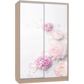 Шкаф-купе Гранд 7-600 17