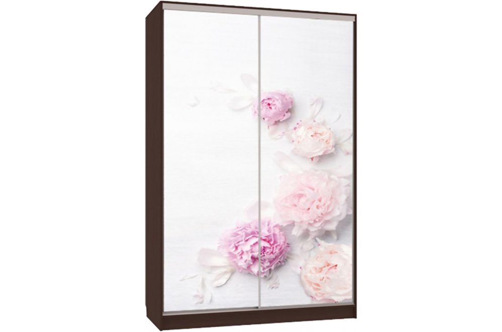 Шкаф-купе Гранд 7-600 17 венге