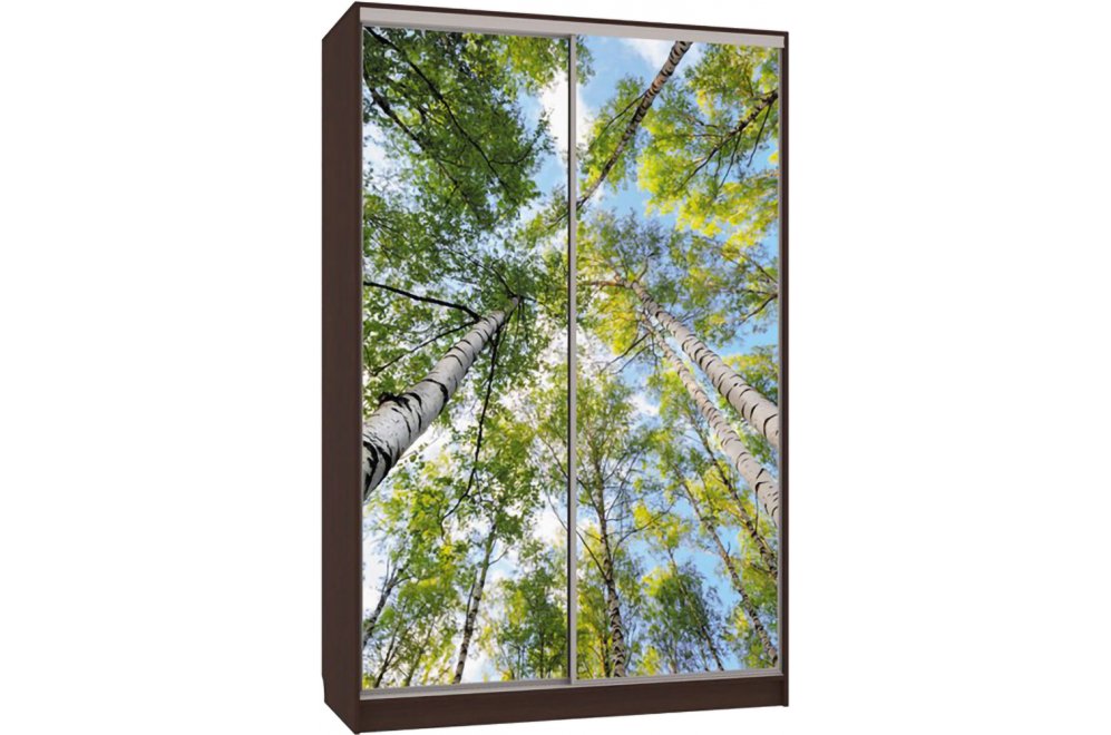 Шкаф-купе Гранд 7-600 57 венге