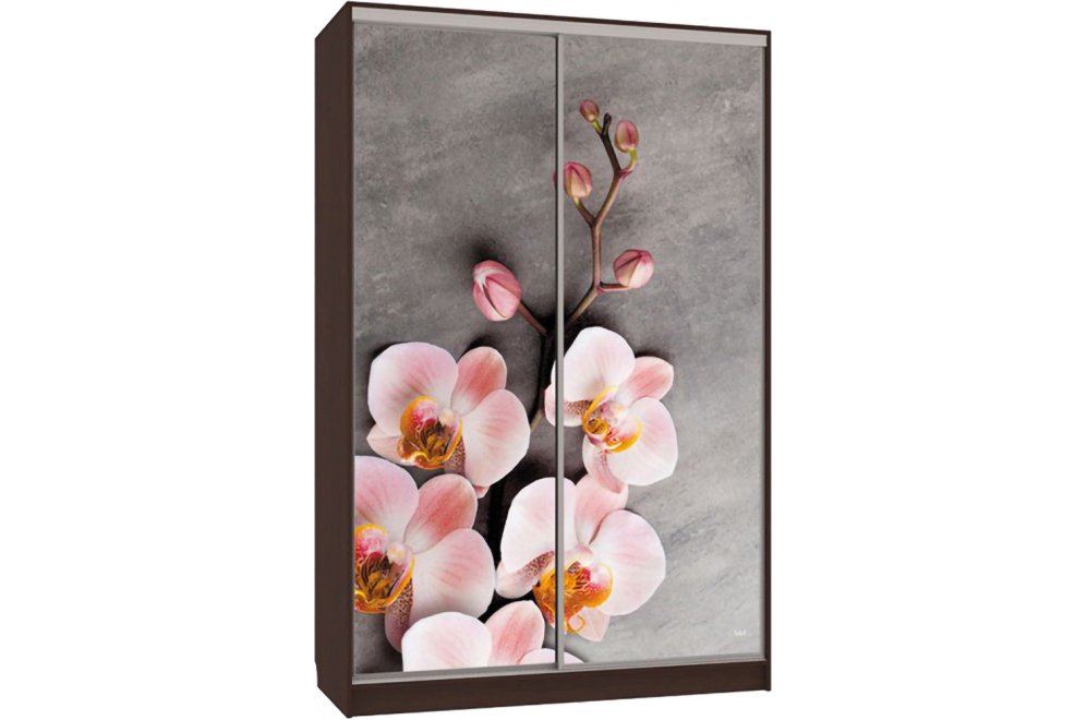 Шкаф-купе Гранд 7-600 78 венге