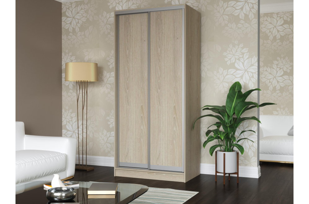 Шкаф-купе Миф-2 1200х2400х600 дуб беленый