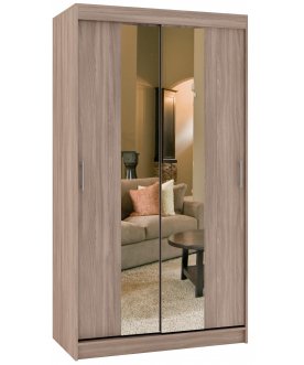 Шкаф-купе Риф 2 ШК.020.1000-23 вариант 4