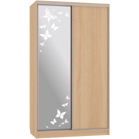 Шкаф-купе Рио 1-600